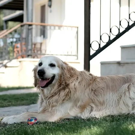 Nyaraló Atlantis Seferihisar