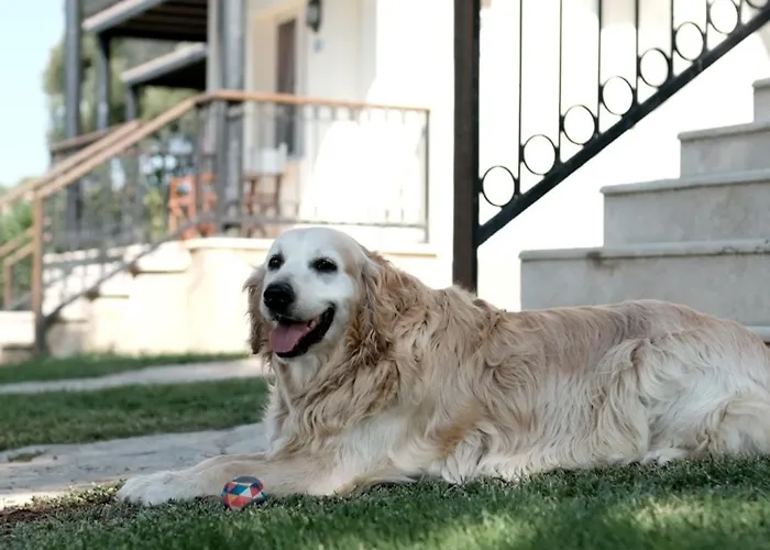 Nyaraló Atlantis Seferihisar